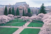 ワシントン大学風景
