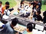 AESカレッジオブニュージーランド