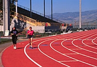 �T�U���E�I���S����w�A�����J���E�����Q�[�W�E�A�J�f�~�[