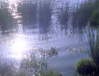 バララット大学