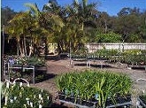 Brisbane Institute of TAFE