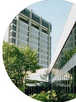 Intensive English Language Program at Brock University