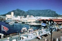 Shane English Cape Town