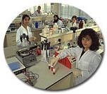 カーディフ大学