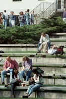 �J�[���g����w