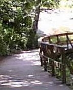 �R���N�C�b�c�W���j�A�Z�R���_���[�X�N�[��