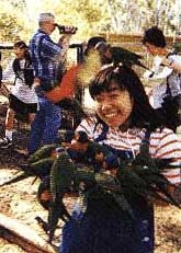 �Z���g�����N�C�[���Y�����h��w