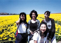 Diversified Language Institute