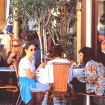 �_�O���X�E���[�\���E�C���X�e�B�e���[�g�E�I�u�E�e�[�t