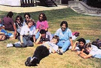 The English Languague Institute