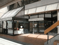 �A�J�f�B�A��w