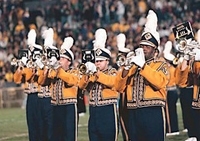 Louisiana State University