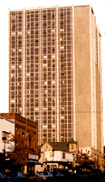 ミシガン大学