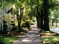 �T�E�X�J�����C�i��w