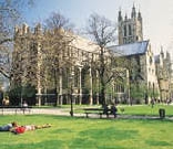 �q���_�[�X�g�[���E�J���b�W