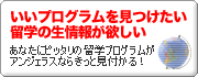 いいプログラムを見つけたい！生情報が欲しい！