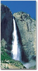 International English Institute