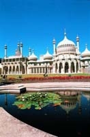 ランゲージ・プラス