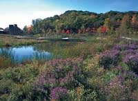 ラサール・カレッジ・インターナショナル・トロント