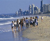 モートン・インスティテュート・オブ・テーフ