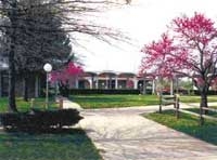 �l�I�V���J�E���e�B�[�R�~���j�e�B�[�J���b�W