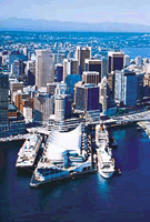 Pacific Institute of Culinary Arts