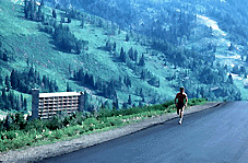 International Academy of English