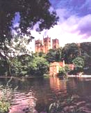 �T���_�[�����h��w��w�Z���^�[