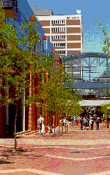 Swinburne University of Technology