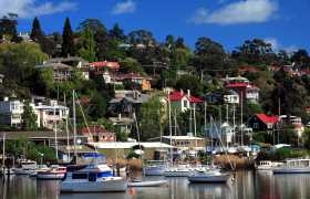 テーフタスマニア