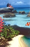 トロピカルノースクインズランドインスティテュートオブテーフ