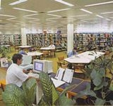 トロピカルノースクインズランドインスティテュートオブテーフ