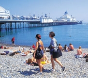 ブライトン大学