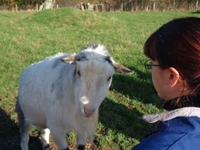 University College Chichester