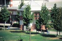 フレーザー・バレー大学