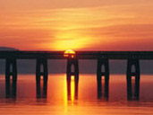 ダンディー大学