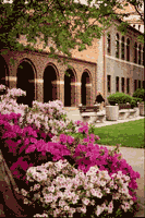 カリフォルニア州立大学