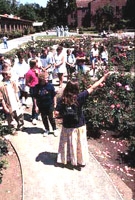 カリフォルニア州立大学