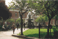 ���X�^�[��w��w�Z���^�[