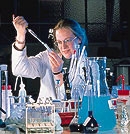 �f�E�����t�H�[�g��w