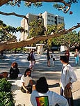 University of California, Irvine