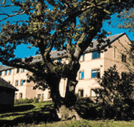 �E�F�[���Y��w