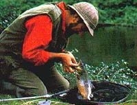 �E�G�X�g�I�u�A�C�������h�X�N�[���X�I�u�C���O���b�V��