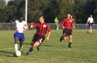 �E�[�����S�����j�o�[�V�e�B�J���b�W