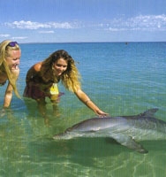 ワールドイングリッシュ